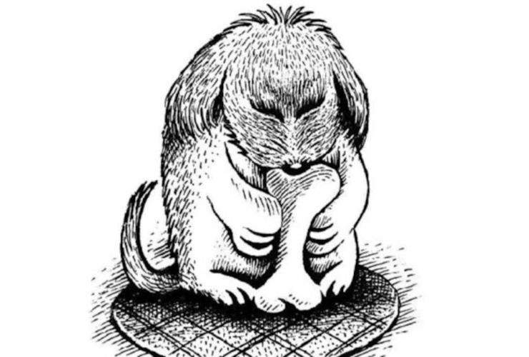 Soluzione del test visivo dell’animale nascosto