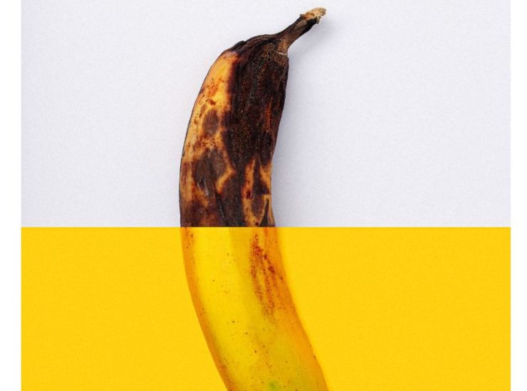 Come prevenire l'arrivo dei moscerini da frutta in casa 