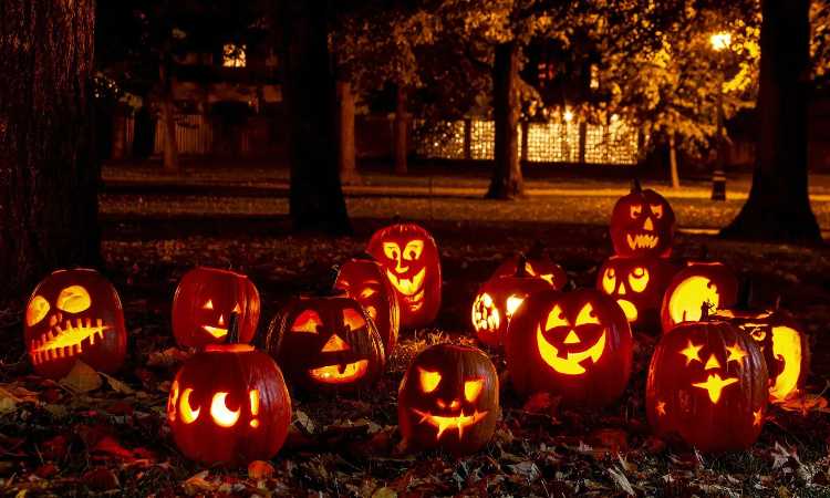 Molte zucche - aia - risorgimentonocerino.it