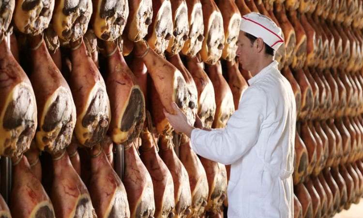 salumiere - carni - risorgimentonocerino.it