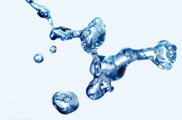 Conclusione di stagione per il Caffè Letterario Nocerino: un’immersione nel mondo dell’acqua