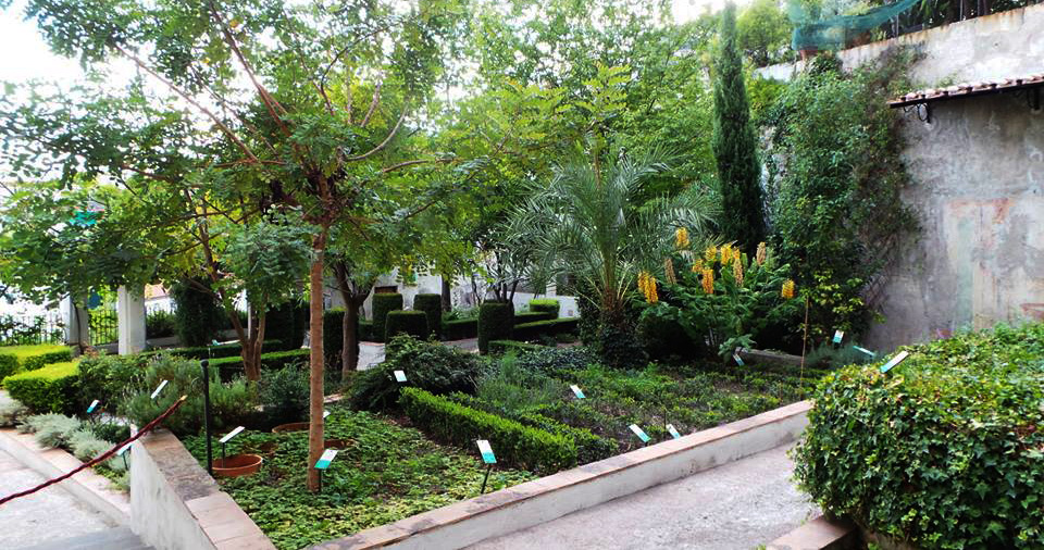 Mostra d’Arte ai Giardini della Minerva: un’esposizione curata da Gabriella Taddeo