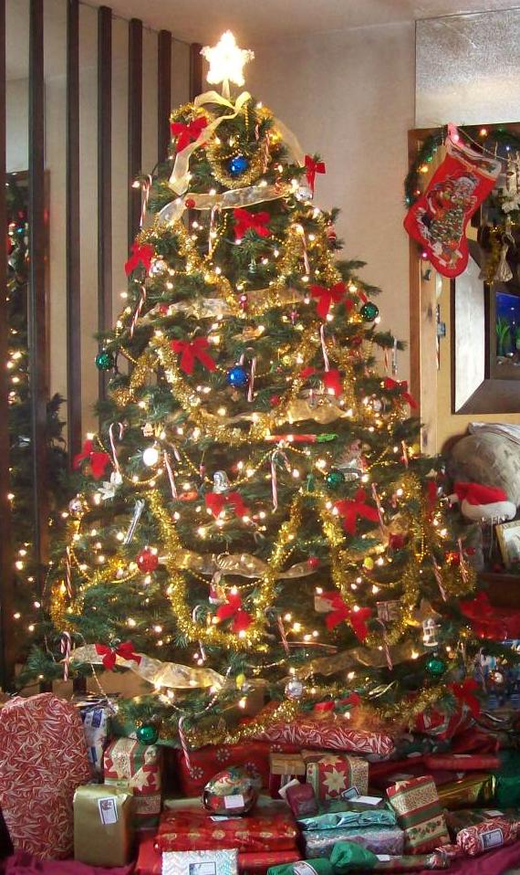 Natale a Nocera Inferiore: un incantesimo di musica e tradizioni popolari