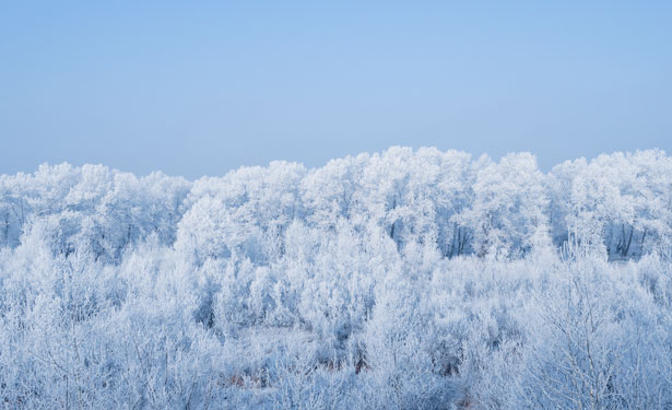 Un’inedita Nocera sotto la neve: mostra fotografica a Palazzo Corso