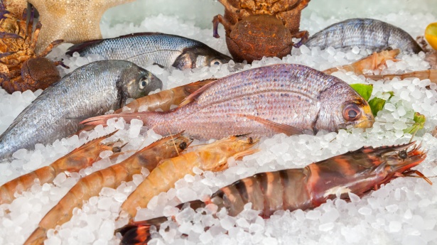 Operazione anti-contraffazione ad Angri: 55 quintali di pesce scaduto sotto sequestro