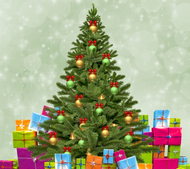 Il Natale nocerino 2016: divertimento per famiglie e mercatini festivi