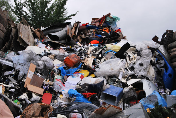 Violazione Ambientale a Camerota: 2500 metri quadri di area protetta trasformati in discarica illegale
