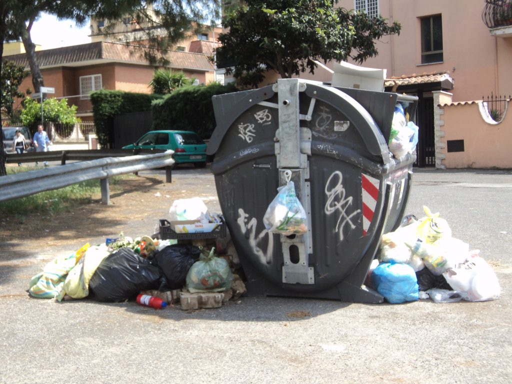 Il degrado ambientale a Battipaglia: una discarica illegale lungo la SP29