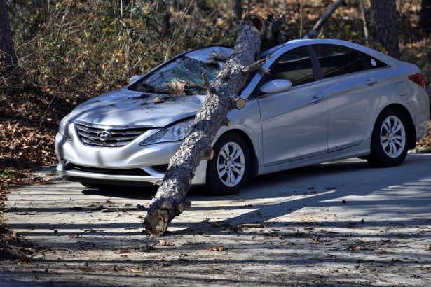TITOLO: Incidente sulla A2 tra Nocera e Cava: albero sulla carreggiata causa ingorghi