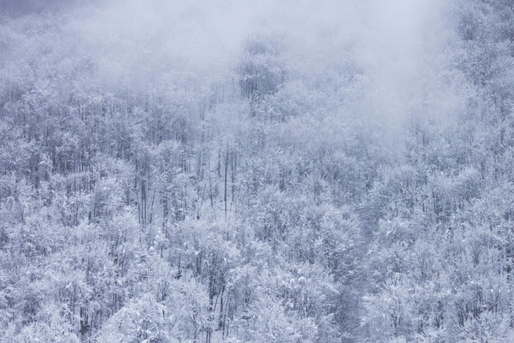 Nevicate in Campania: disagi sulle strade e rinvio di una partita di calcio