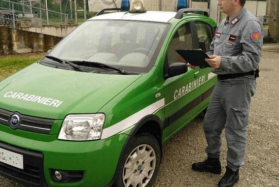 Violazioni ambientali nei comuni di Olevano e Giffoni Valle Piana