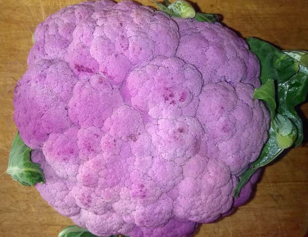 Il Cavolfiore Viola di Catania: Un Gioiello Gastronomico Siciliano