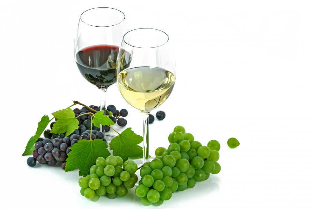 Vitigno & Terroir: Celebrando l’eccellenza vitivinicola campana a Castel San Giorgio