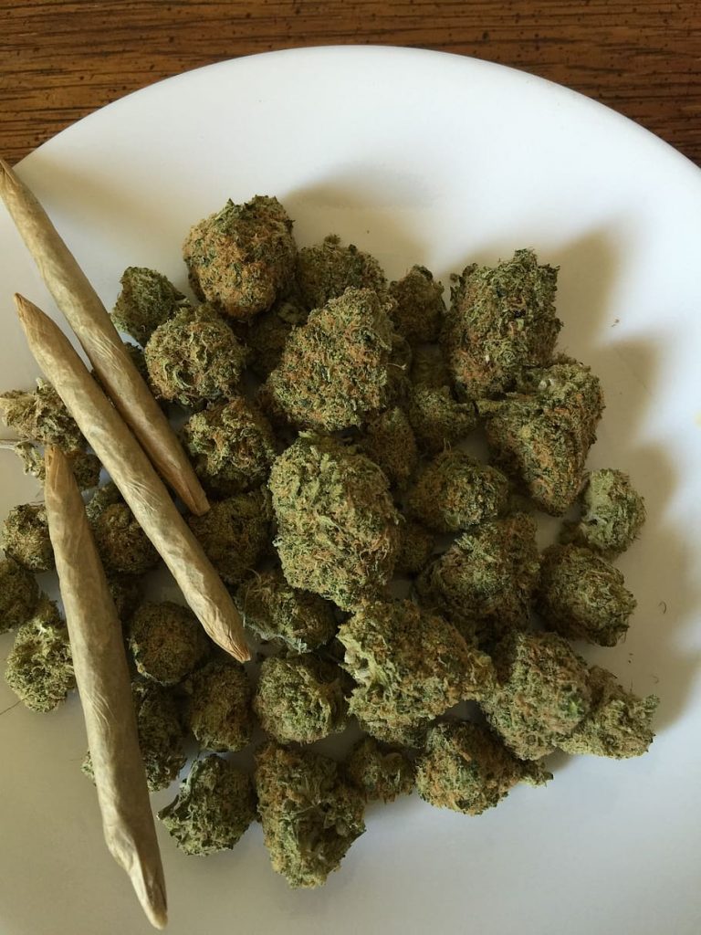 Sequestro di Marijuana a Cava de’ Tirreni: Allevatore Arrestato