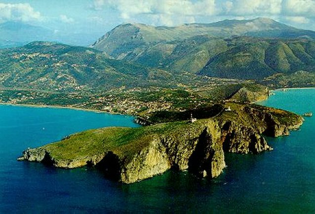 Tragedia a Centola-Palinuro: un piccolo cane muore in mare, un polpo impedisce il recupero