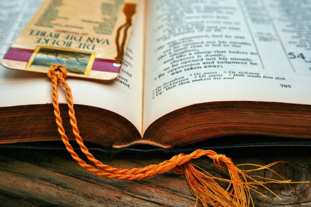 Un progetto di lettura per avvicinare gli studenti alla biblioteca
