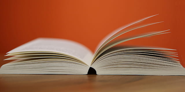 Riflessioni di un docente sulla didattica della Storia