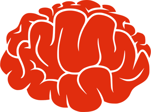 La calligrafia corsiva e lo sviluppo cerebrale: un legame insospettabile