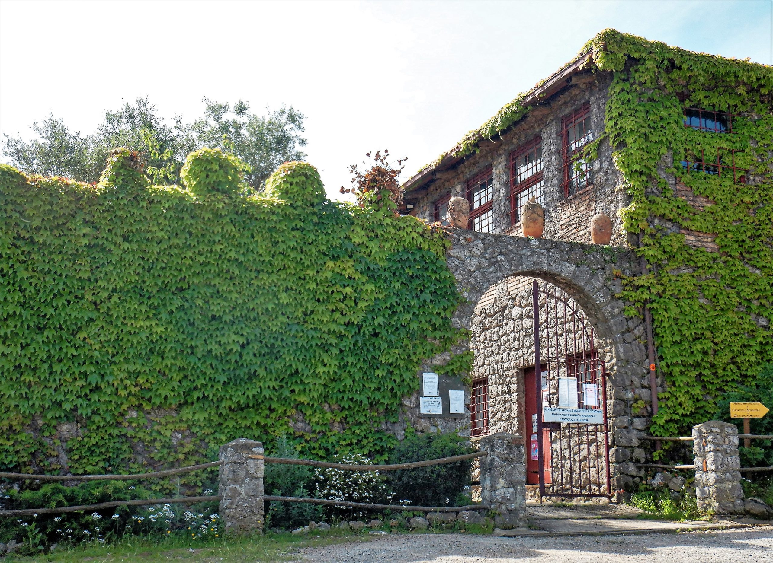 Certificazione Verde Nazionale: Libertà di Movimento in Italia