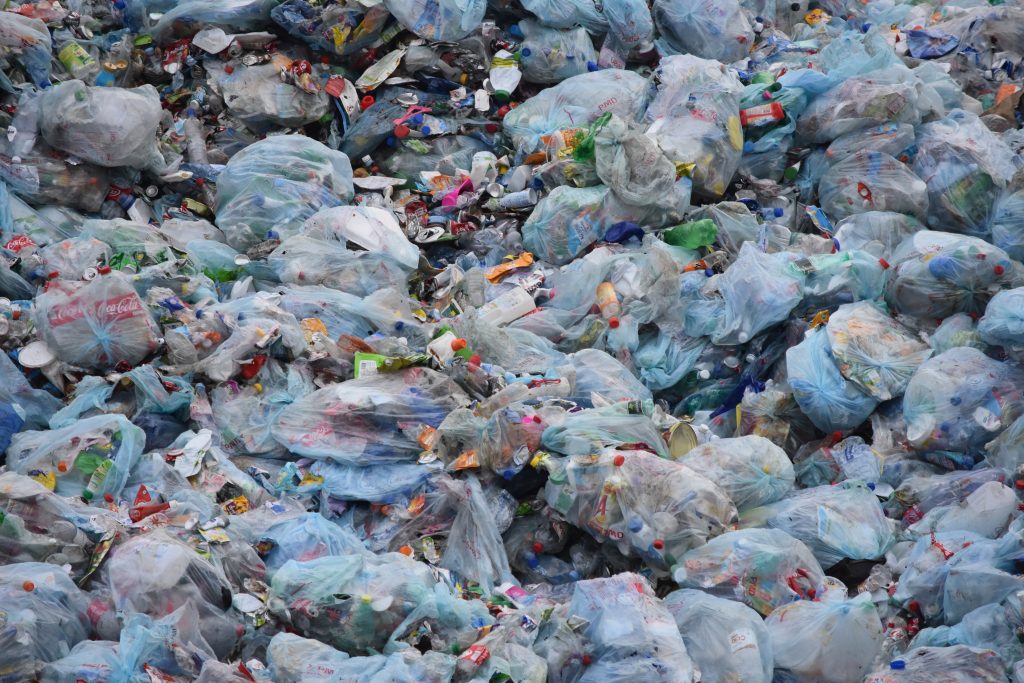 Degrado ambientale tra Fiano e Fosso Imperatore: un’emergenza ignorata