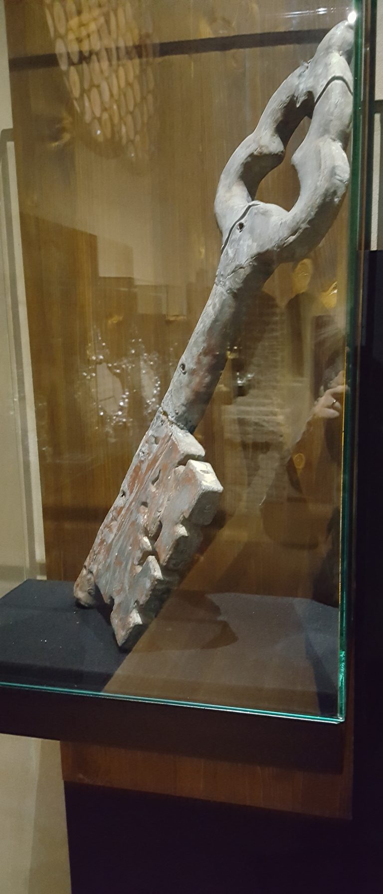 Pellegrinaggio Giubilare Diocesano a Roma: Fede e Speranza a San Pietro