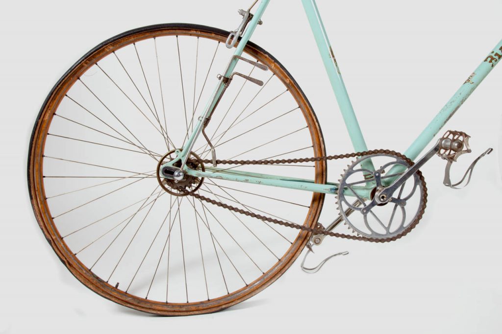Bicincittà 2015: Un Giro in Bicicletta per la Mobilità Sostenibile