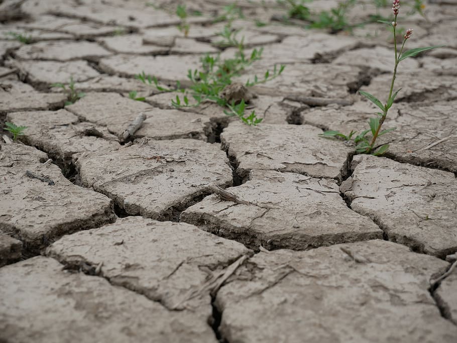 Combattere la Disidratazione Estiva: Strategie per una Stagione Rinfrescante