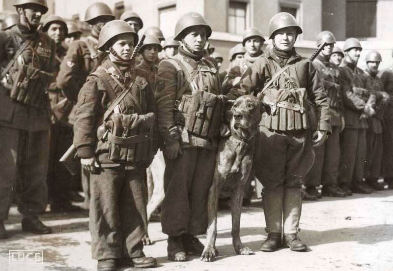 La Guerra a Nocera Inferiore: Un Pesante Tributo Umano