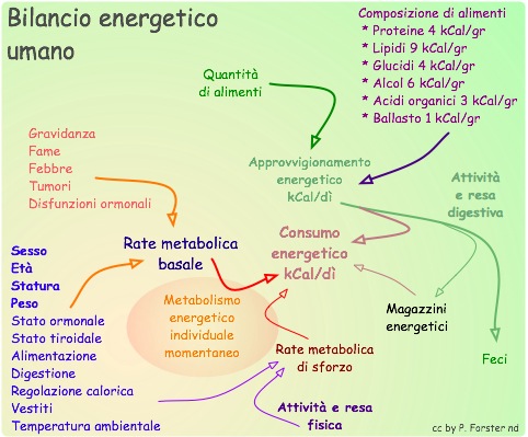 Nutrizione in Gravidanza: Guida Completa per una Mamma e un Bebè Sani