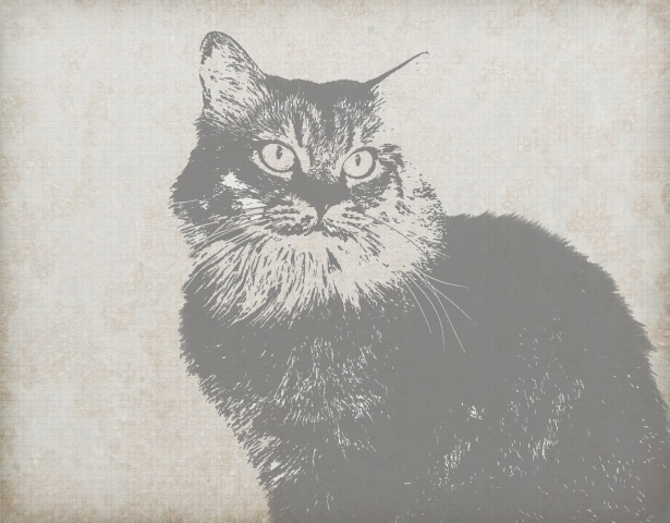Tributo ai Felini: Un’Ode alla Giornata Nazionale del Gatto