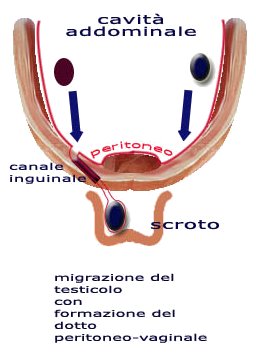 La curiosa storia semantica dei “Zebedei”