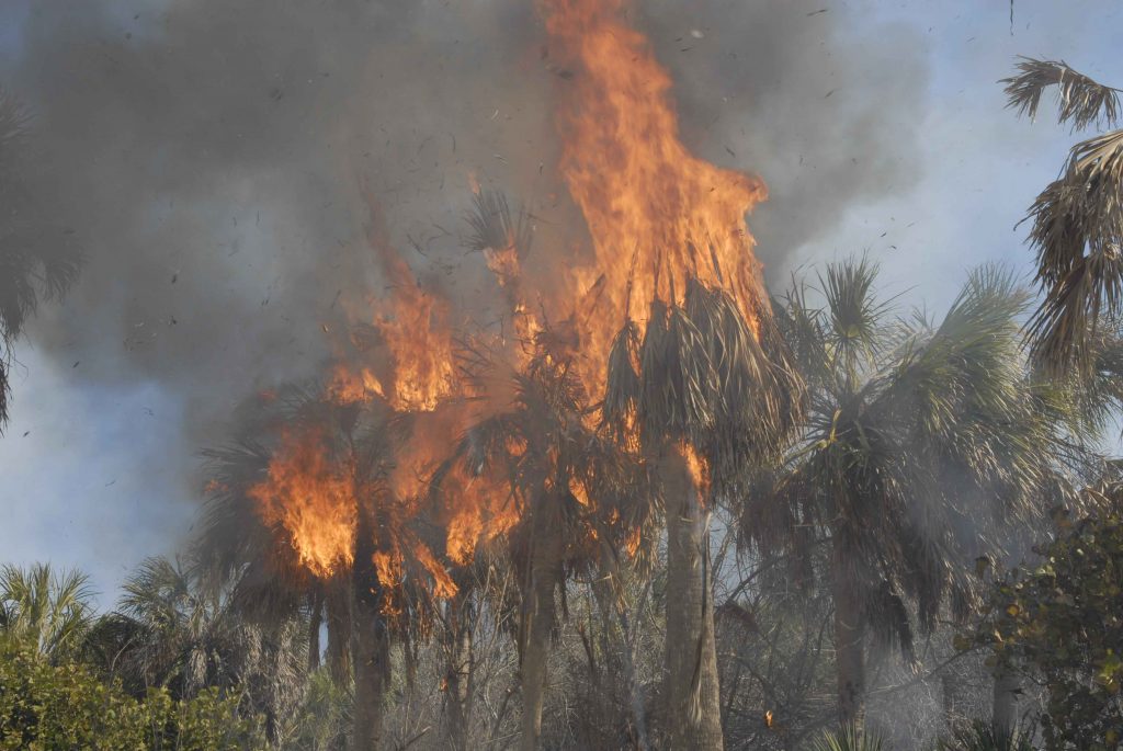 Un vasto incendio minaccia Corbara: evacuazione sconsigliata