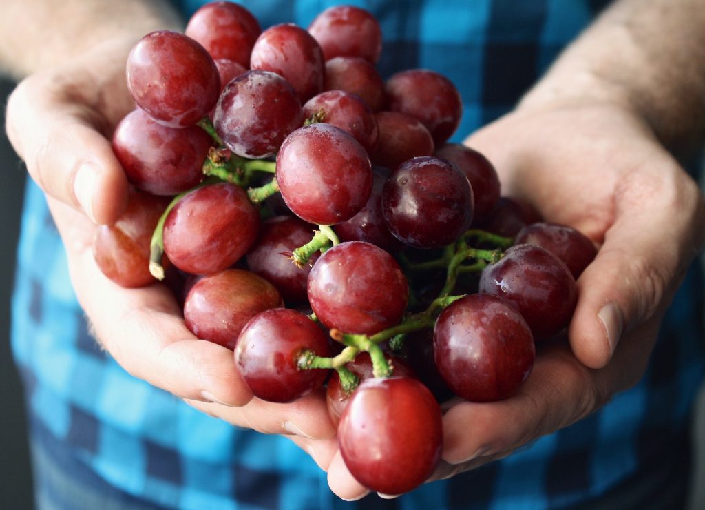 Preservare l’Agro: Un’iniziativa per scongiurare un disastro ambientale
