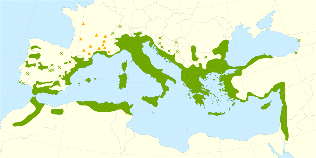 Aggiornamento sulle Zone Covid: Campania Confermata Gialla, Altre Regioni in Bilico