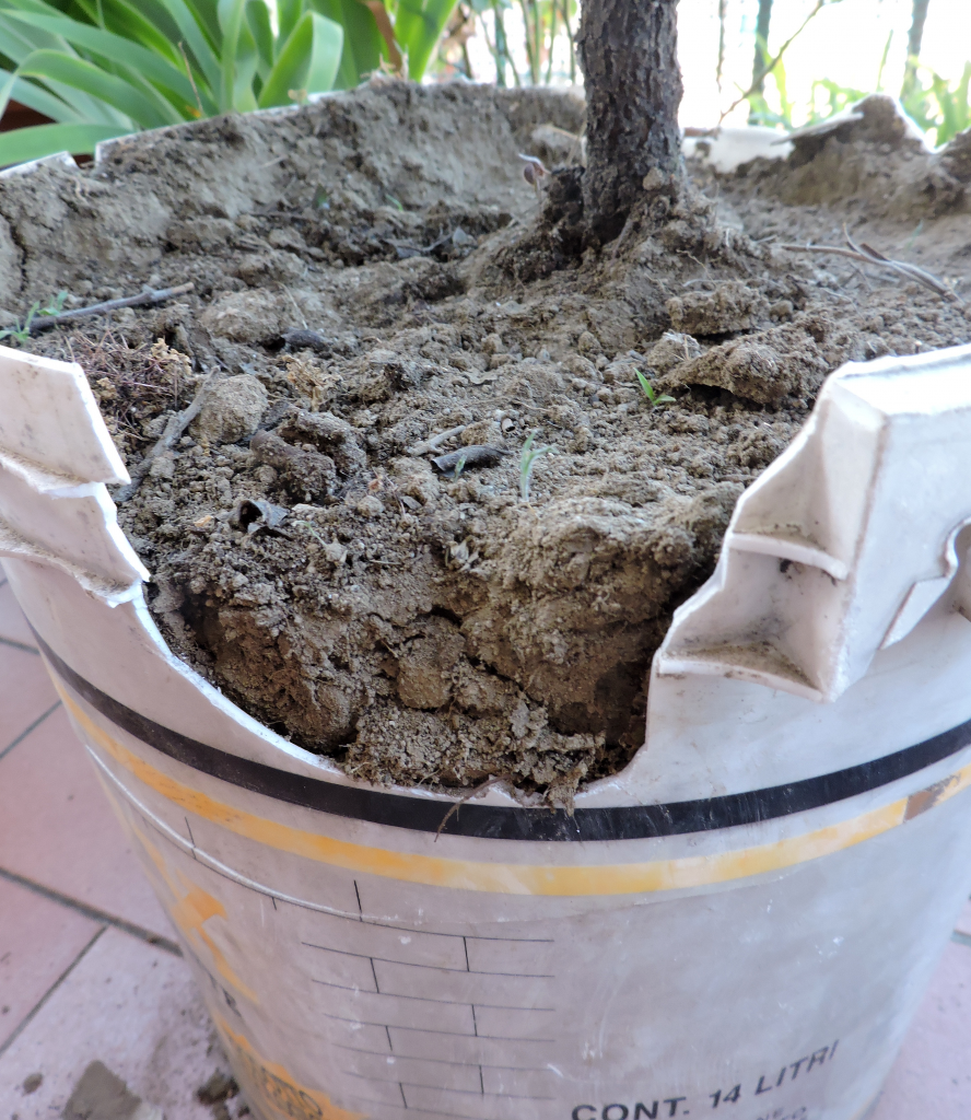 Iniziativa a Nocera Inferiore: promuovere le bioplastiche compostabili