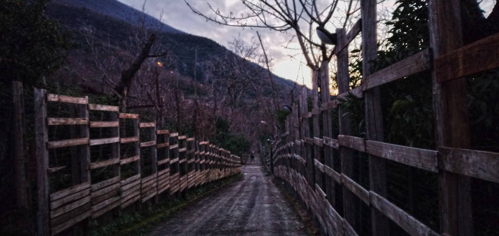 Una nonnina di Nocera Inferiore conquista i cuori dei runners