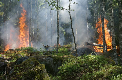 Un incendio devasta la cima di Cupa Belvedere a Nocera Superiore: in azione Vigili del Fuoco, Forestale e Protezione Civile