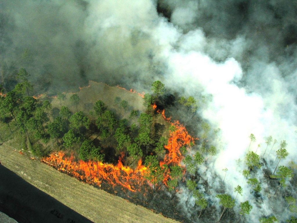 Preoccupazione a Nocera Superiore: sette anni di rischio per la salute dopo gli incendi tossici