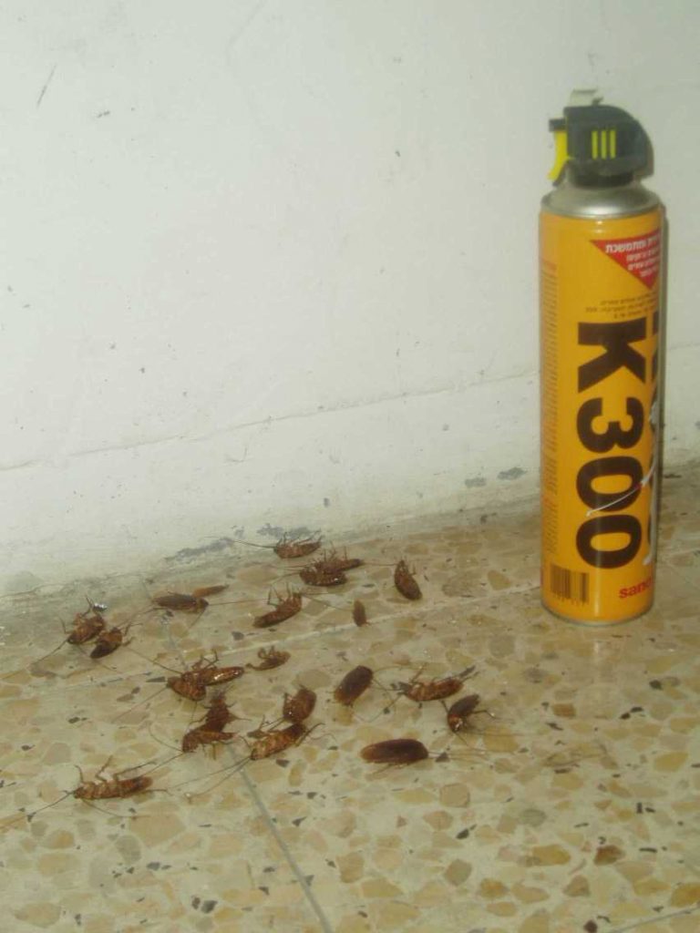 Disinfezione programmata a Nocera Superiore: misure precauzionali per i cittadini