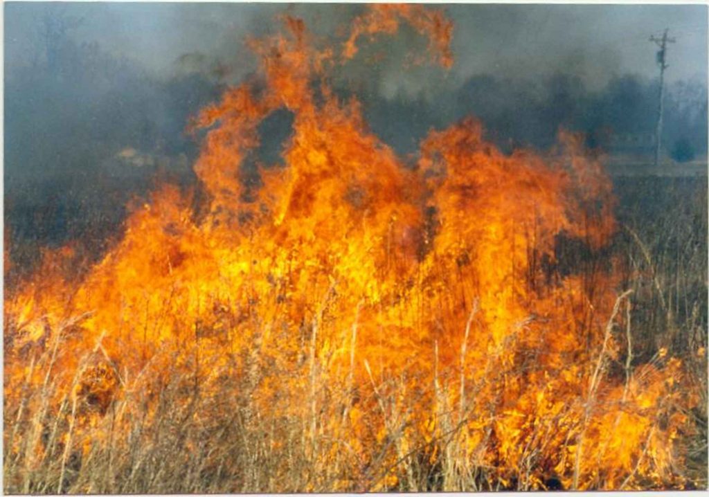 Incendio Notturno a Pagani: Fiamme Divorano Deposito di Detersivi