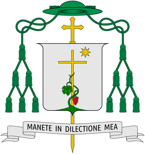 Papa Francesco torna in Vaticano dopo l’operazione