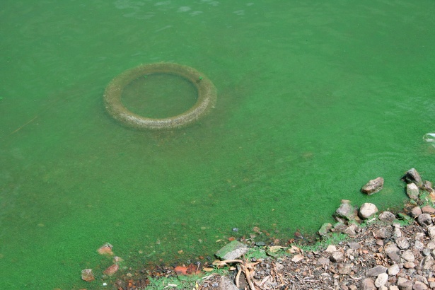 Il Sarno: Un Decennio di Inerzia Ambientale
