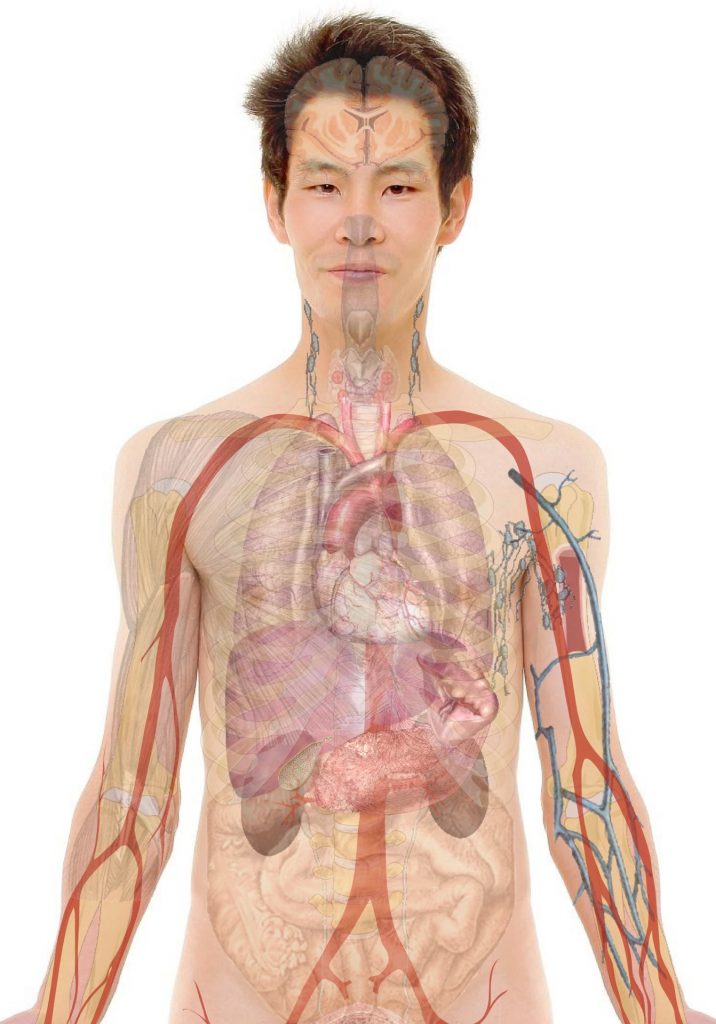 Atto di generosità: tre vite salvate grazie alla donazione di organi a Nocera Inferiore