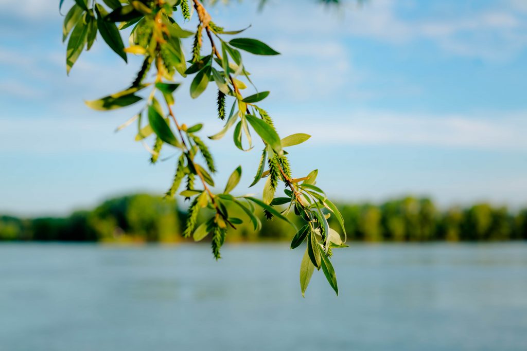 Riqualificazione ecologica del fiume Sarno: Nocera Inferiore si impegna per un progetto europeo