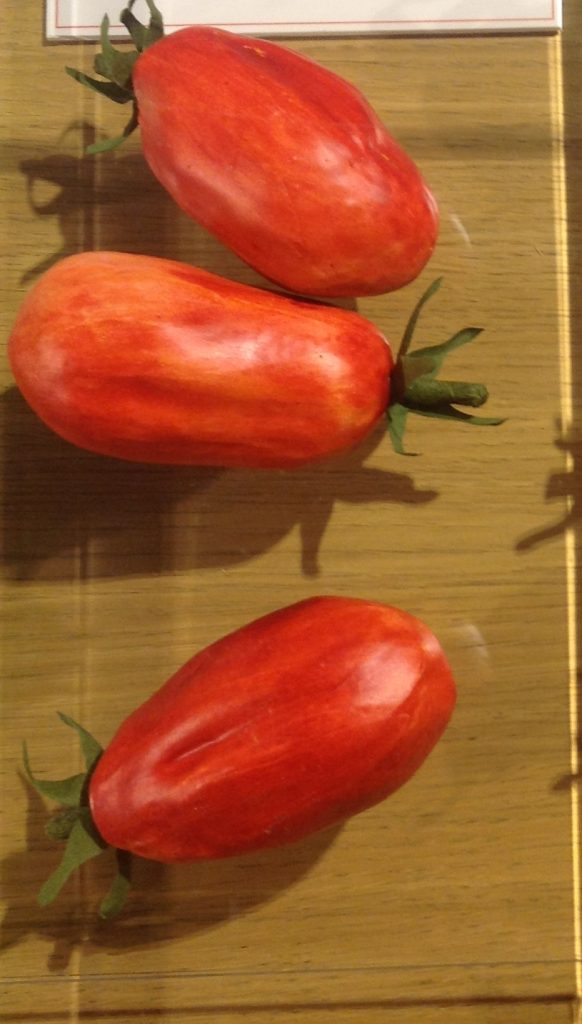 Esplorando i sapori tradizionali dell’Agro nocerino-sarnese