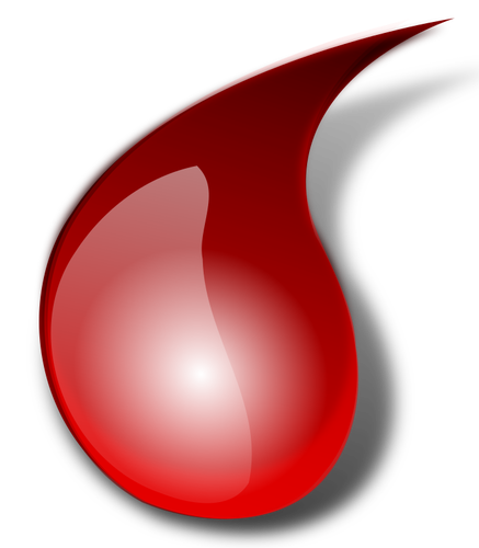 La settimana della solidarietà: Salerno promuove la donazione del sangue