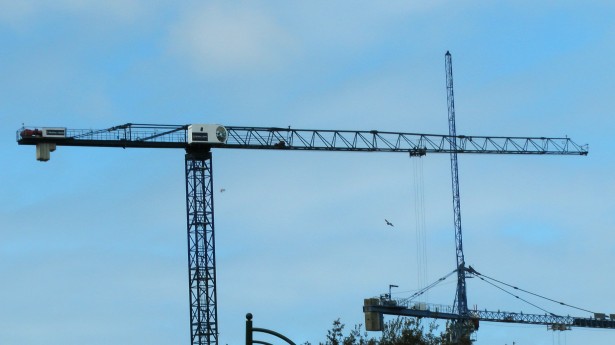 Riqualificazione Montevescovado: Progetto definitivo per 42 alloggi