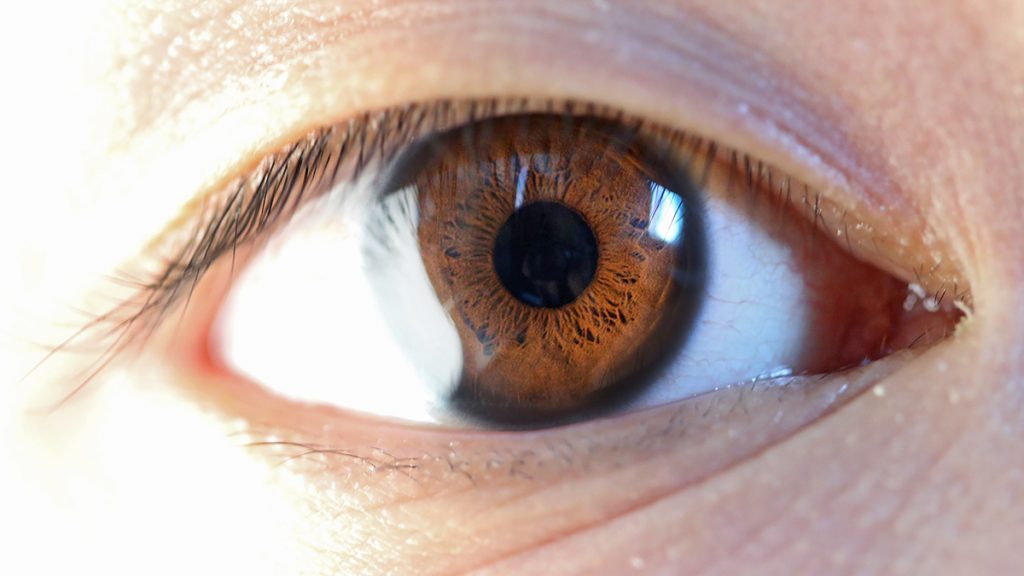 Un dono di vita: tre trapianti di cornea e un trapianto di fegato all’ospedale Ruggi