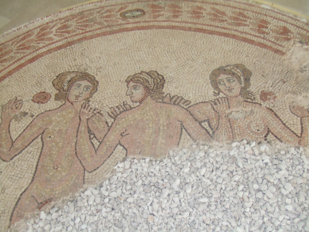 Scoperte archeologiche di rilievo a Casarzano: tracce di vita antica