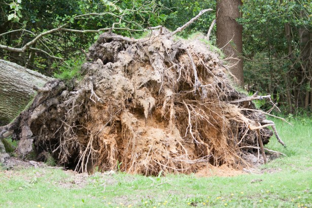 Violenta tempesta colpisce Pagani: danni ingenti e città in parte inagibile